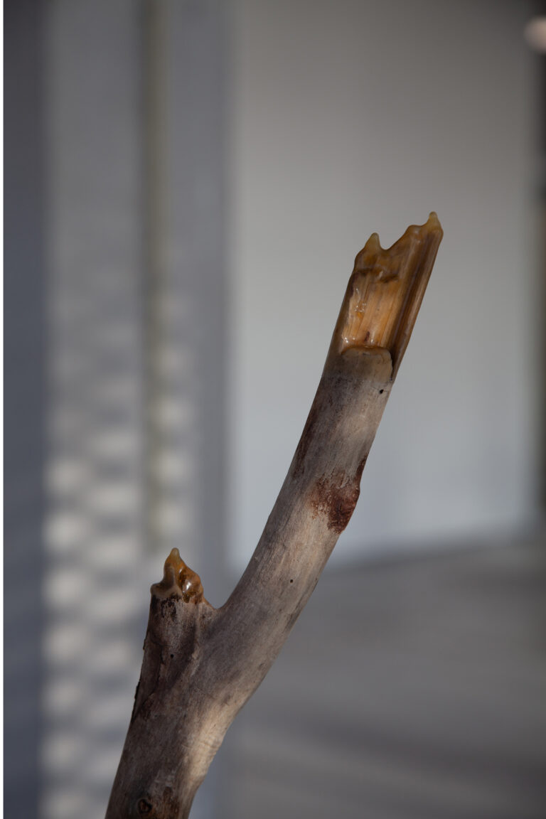 Equipping_Branches-Leonard_von_Brenndorff-3 Kopie