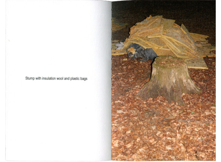 lookingatstumps-p4