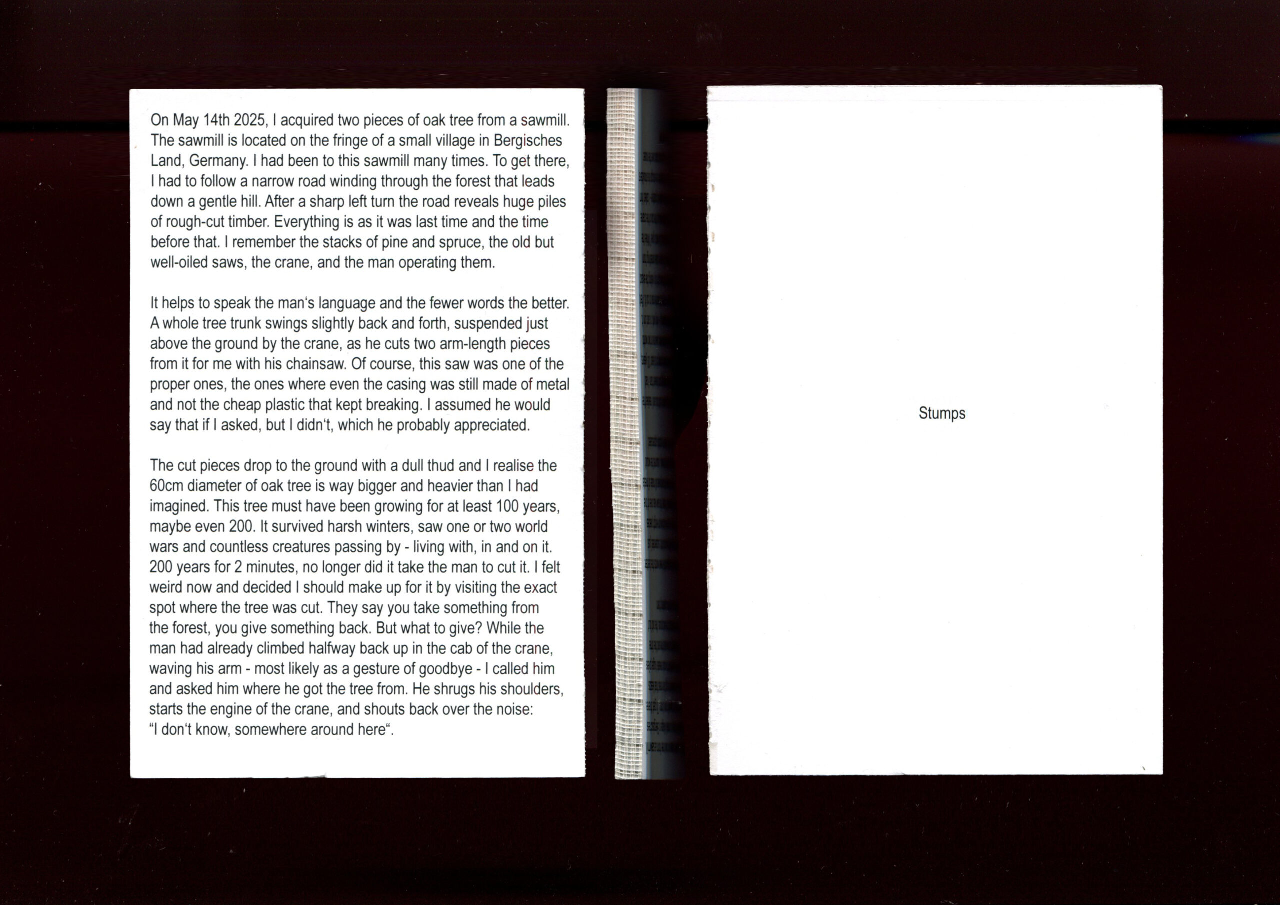 GStumps-Scan06 Kopie