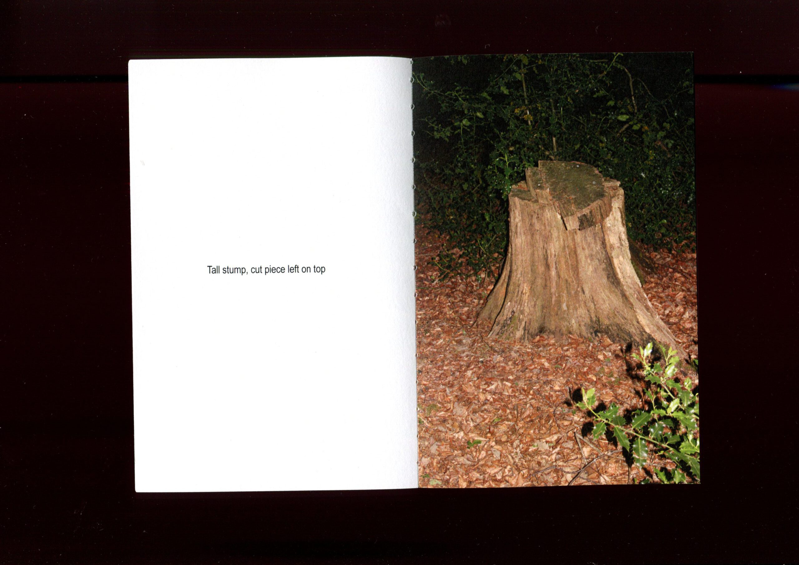 Stumps-Scan04