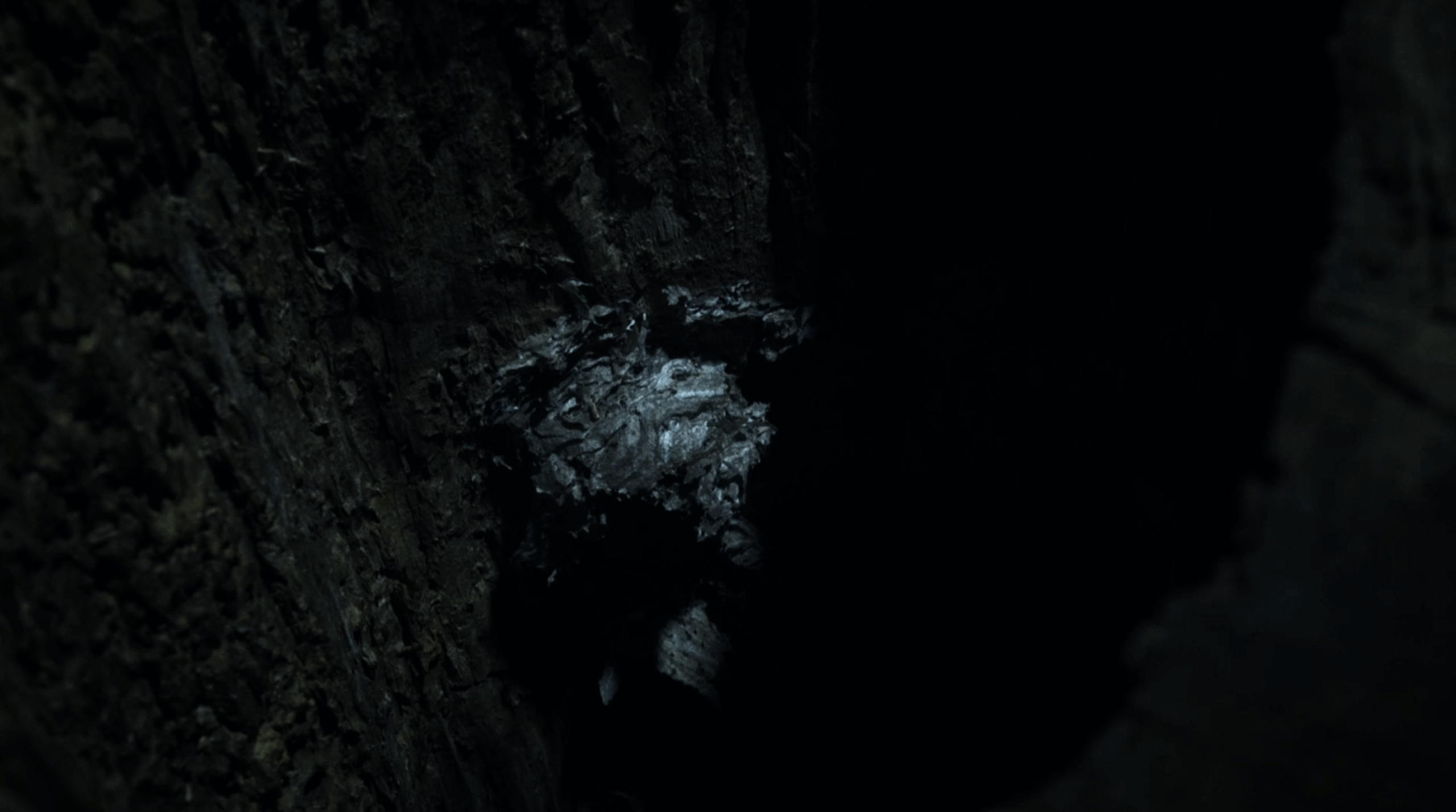Contained-Memories-Stills-1