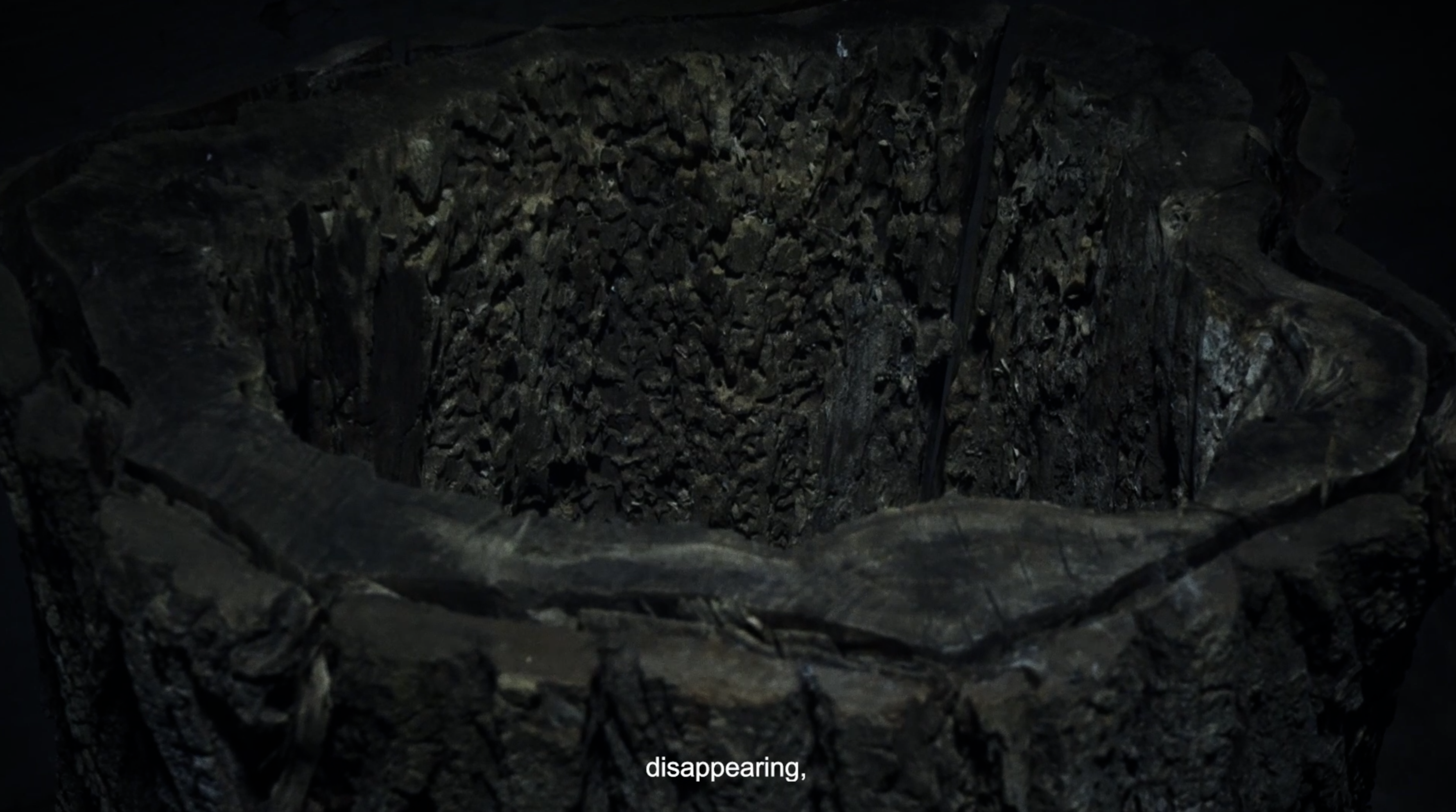 Contained-Memories-Stills-6